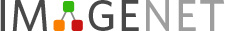 ImageNet: el archivo de 14 millones de imágenes que impulsó la visión artificial y expuso sus límites