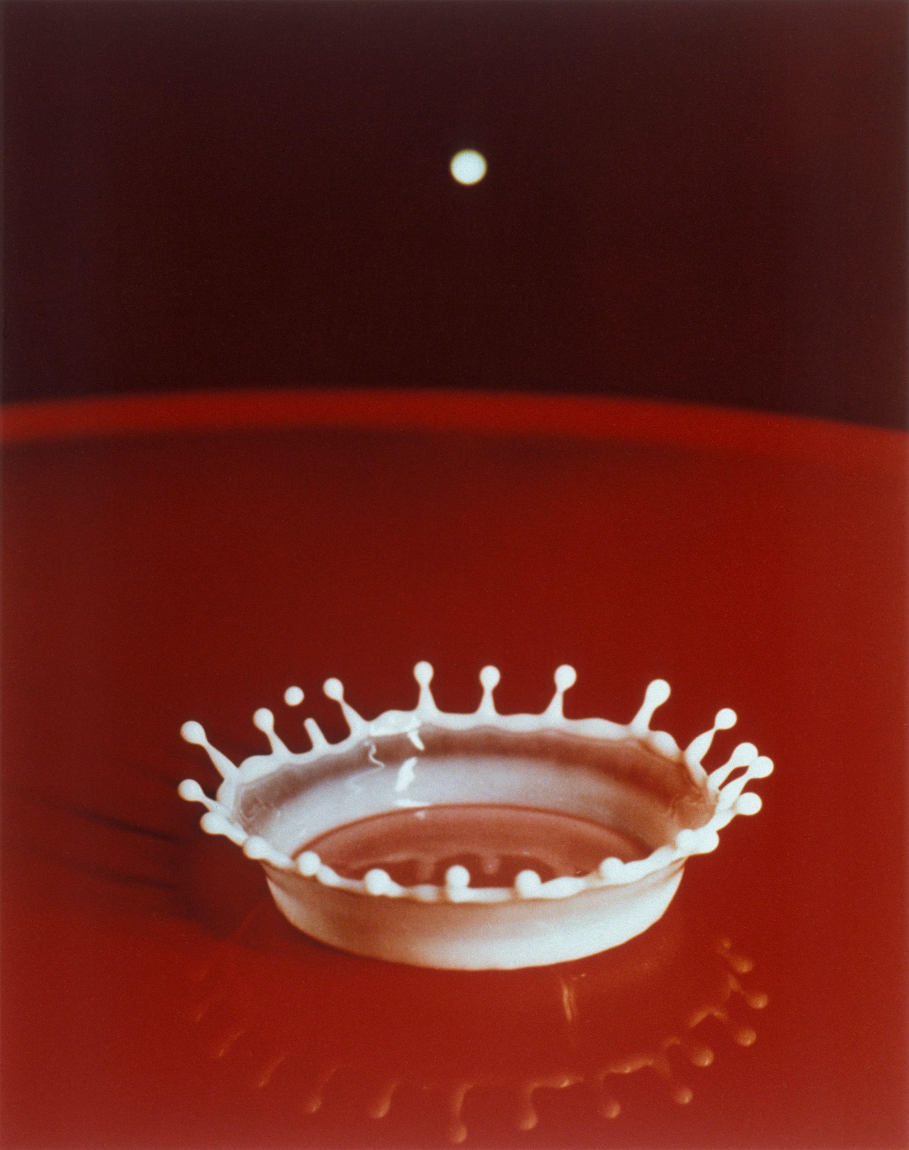 Milk Drop Coronet: la foto de Harold Edgerton que fijó una corona de leche en 1957