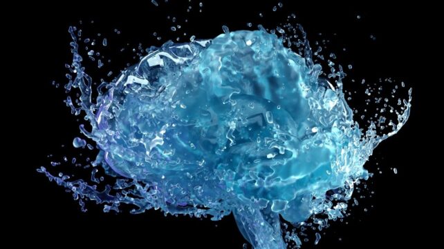Cada vez que apretás el abdomen, tu cerebro se mueve dentro del cráneo. Un estudio lo midió.