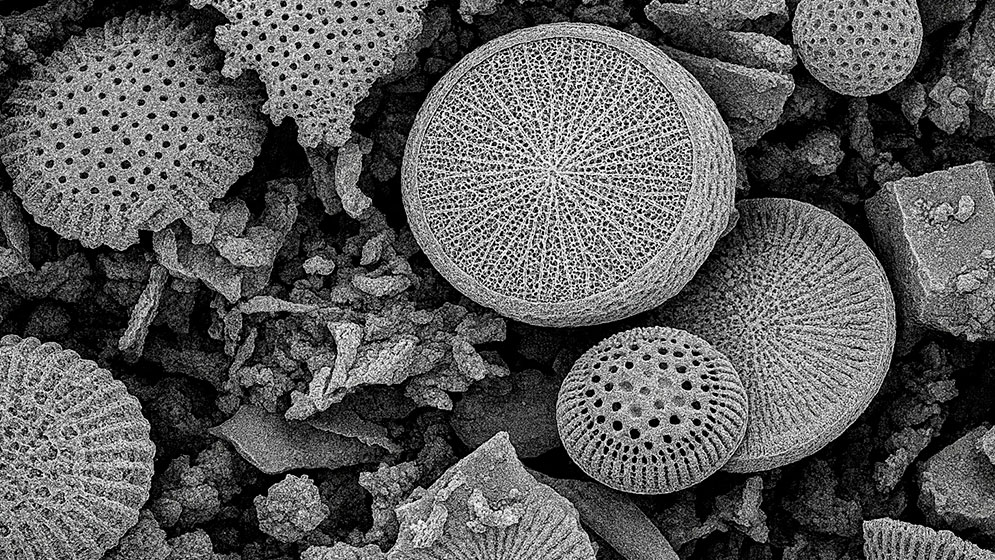 El filtro argentino que quiere atrapar microplásticos antes de que lleguen al vaso