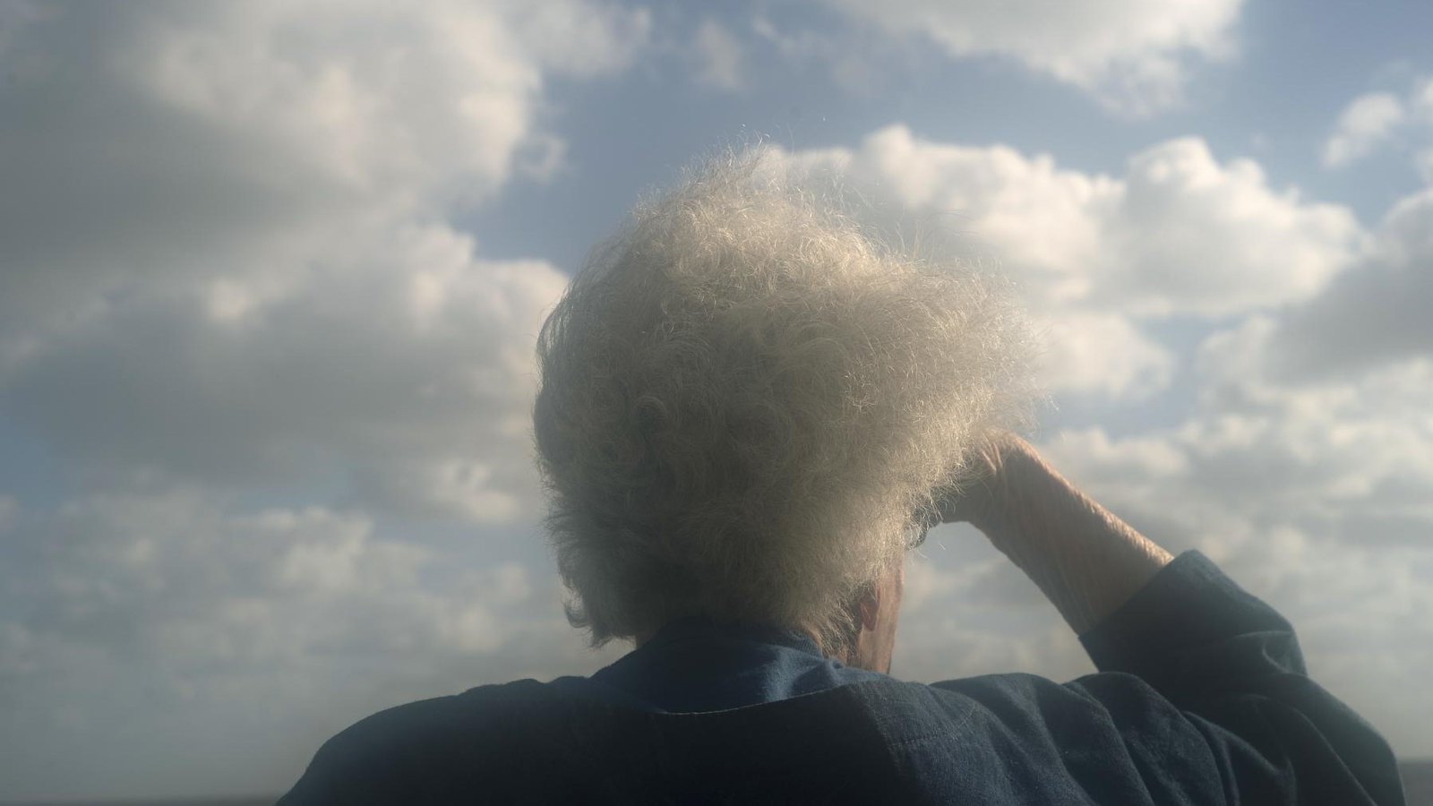 Bellas Artes Cine mira el paisaje rioplatense desde el documental