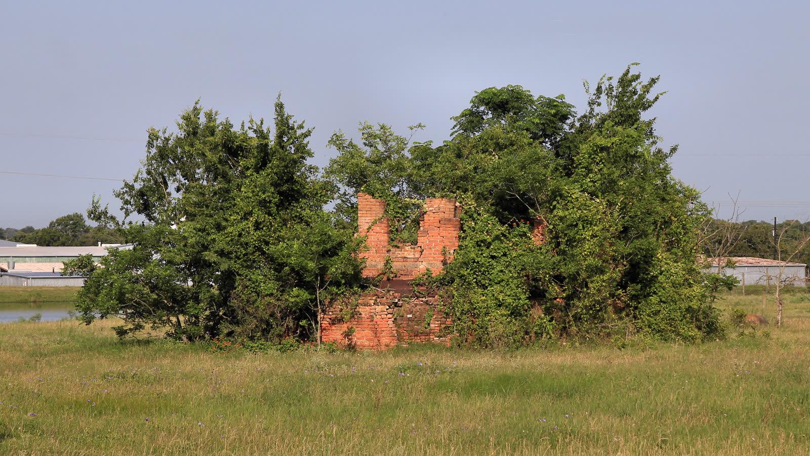 Un horno de ladrillos apareció en Monticello y contó lo que Jefferson no dejó escrito