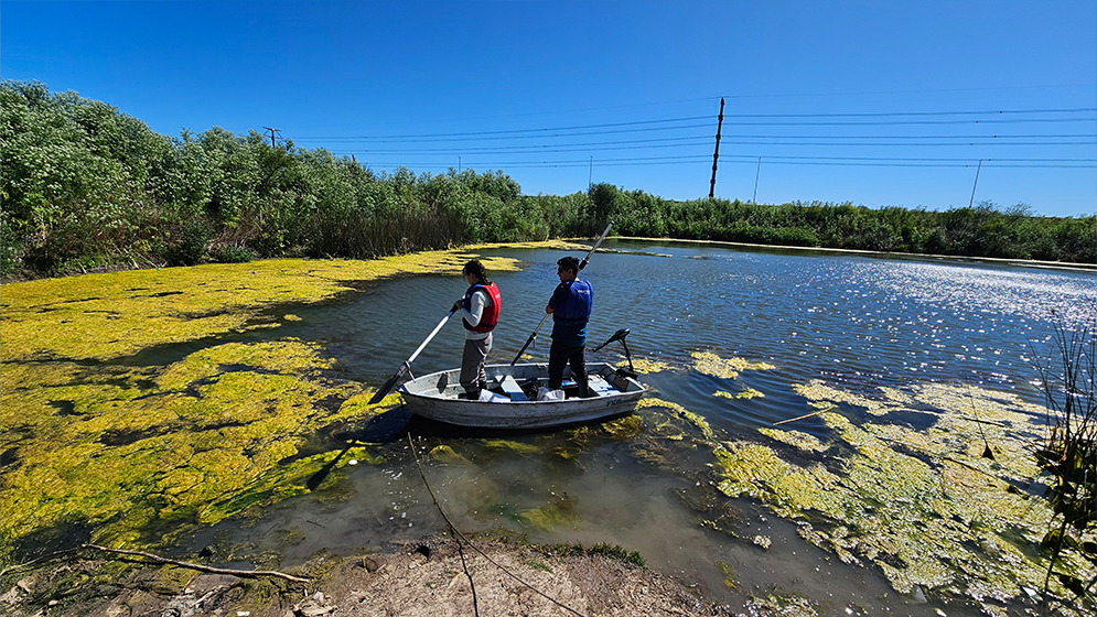 Las canteras inundadas bonaerenses podrían transformarse en criaderos de pejerrey