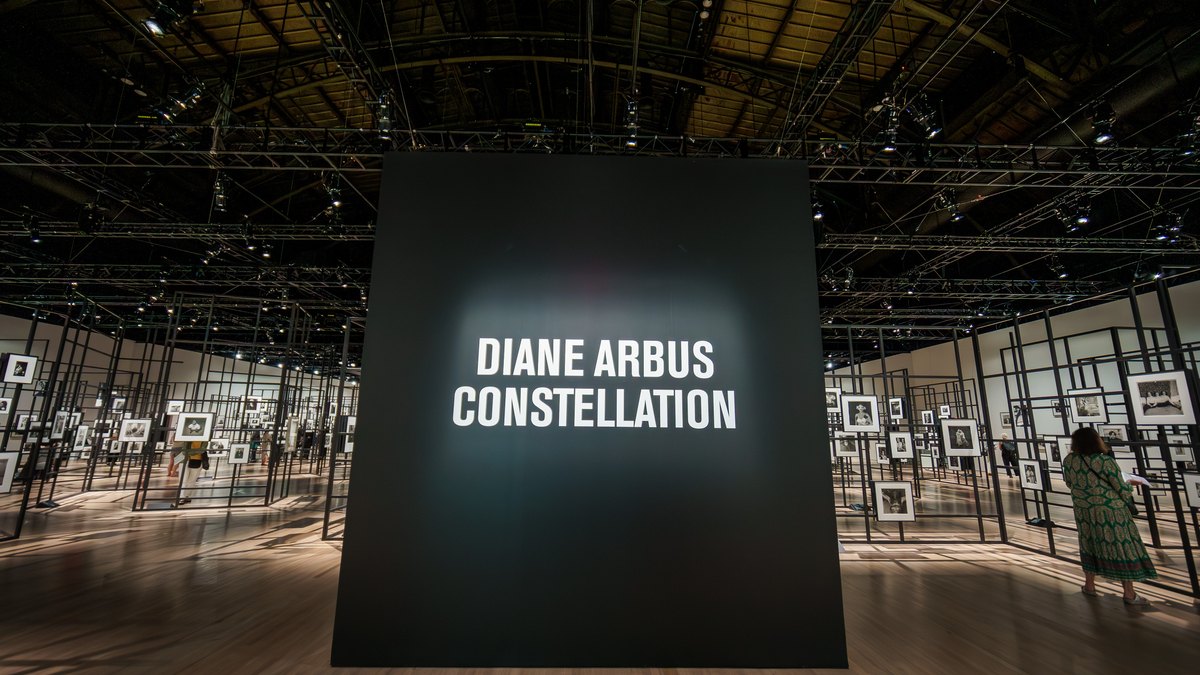 Diane Arbus fotografió a enanos, gemelos y nudistas. Sus fotos están en todos los museos del mundo.