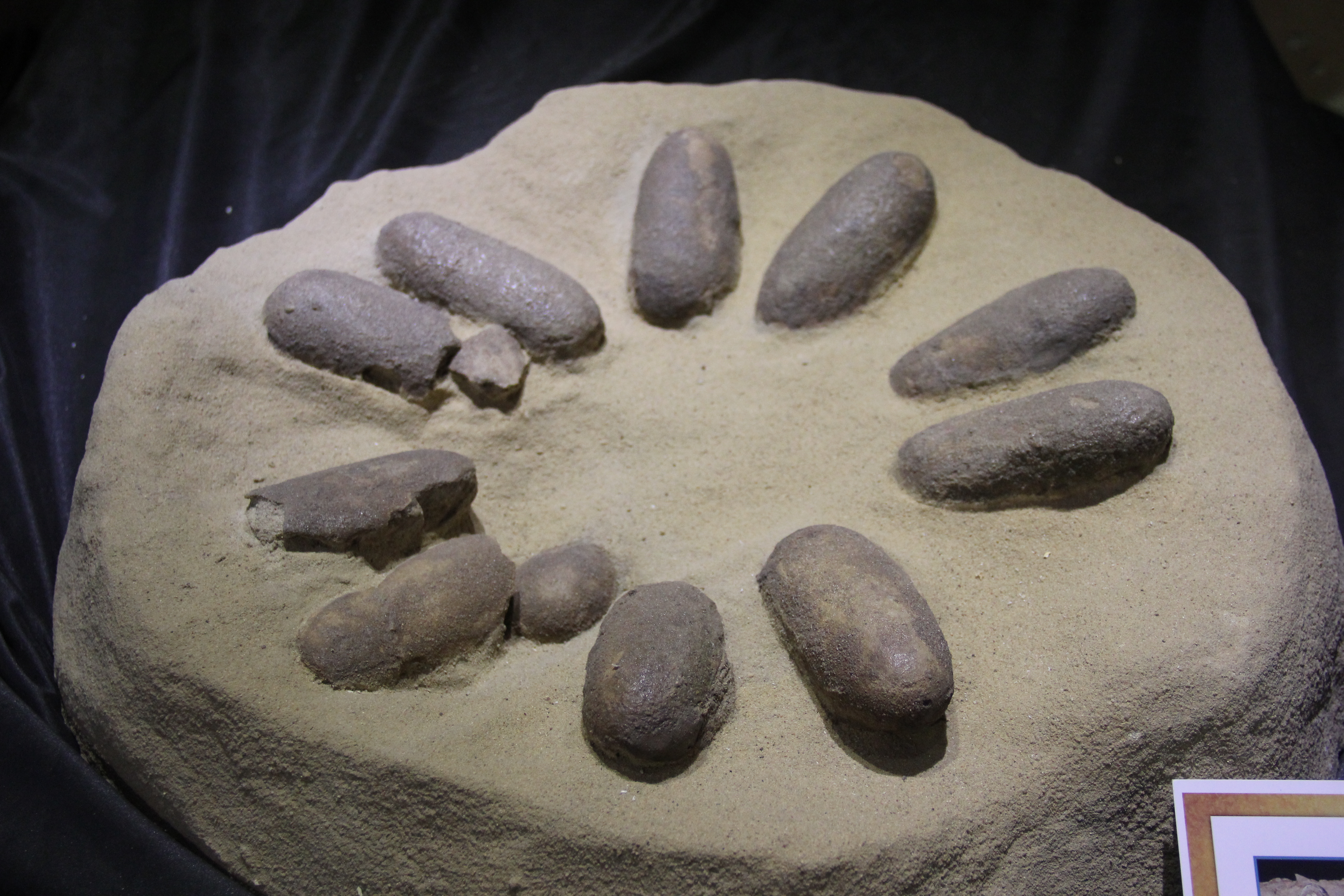 Flaming Cliffs: el desierto donde los huevos de dinosaurio cambiaron la paleontología