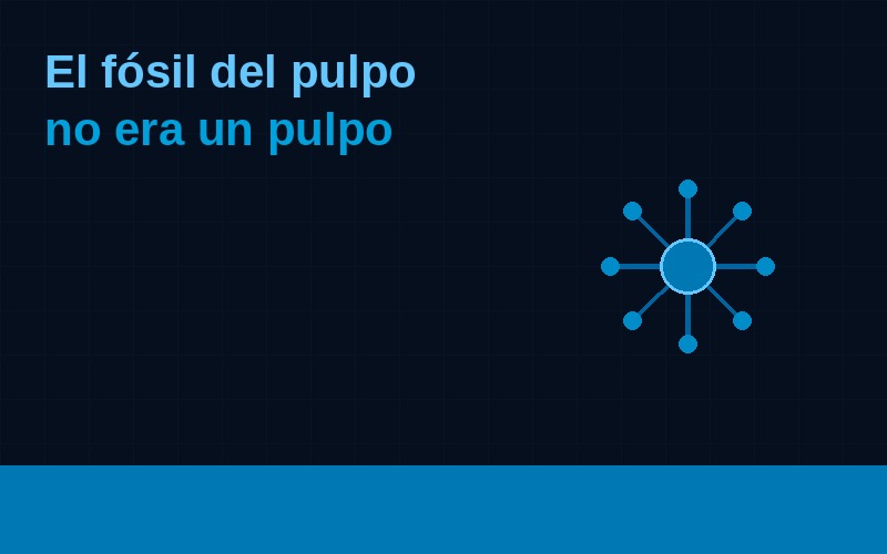 El fosil del pulpo mas antiguo no era pulpo: era un caso cerrado demasiado rapido
