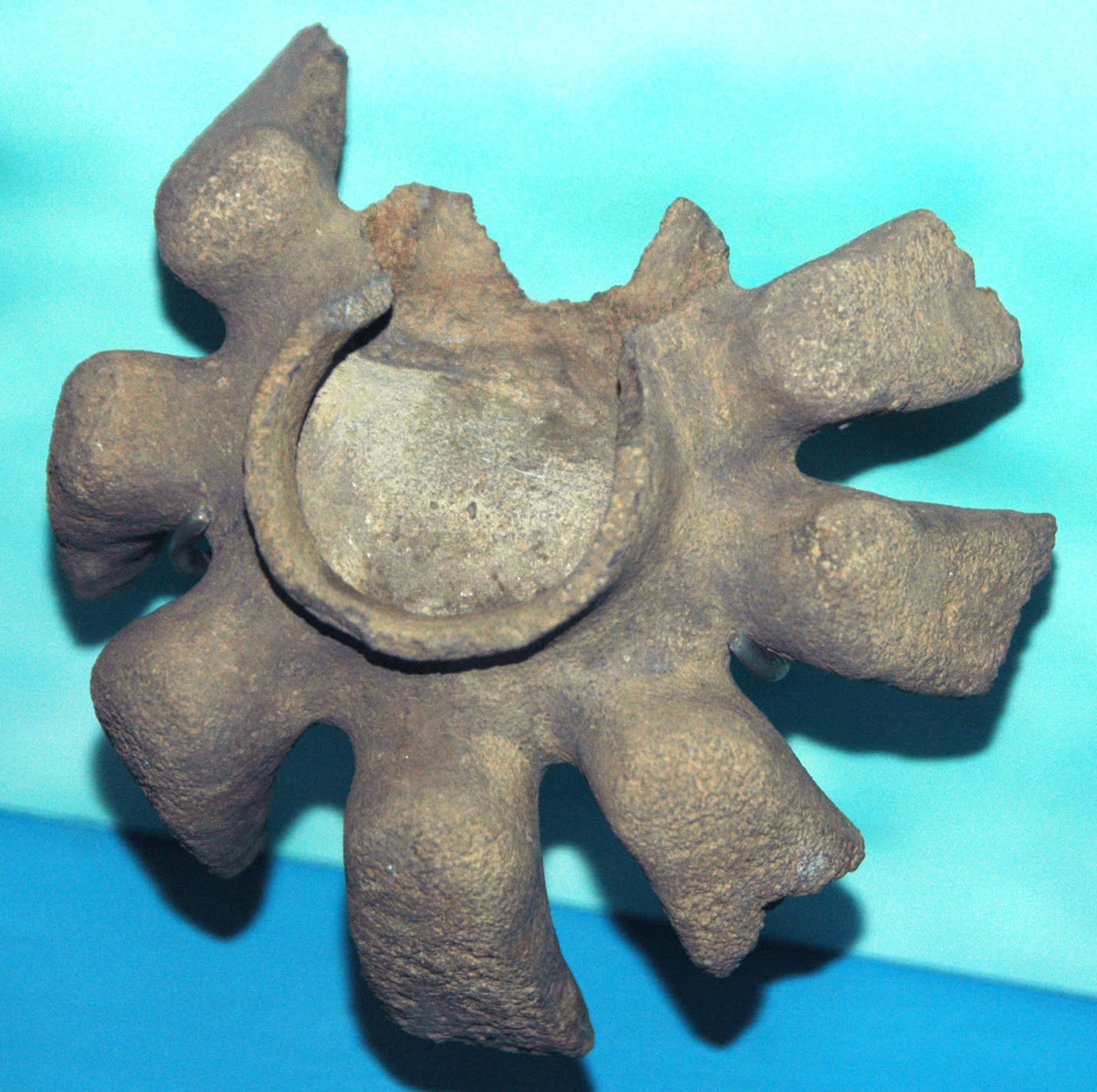 Una esponja fosil acaba de cerrar un agujero de 160 millones de anos