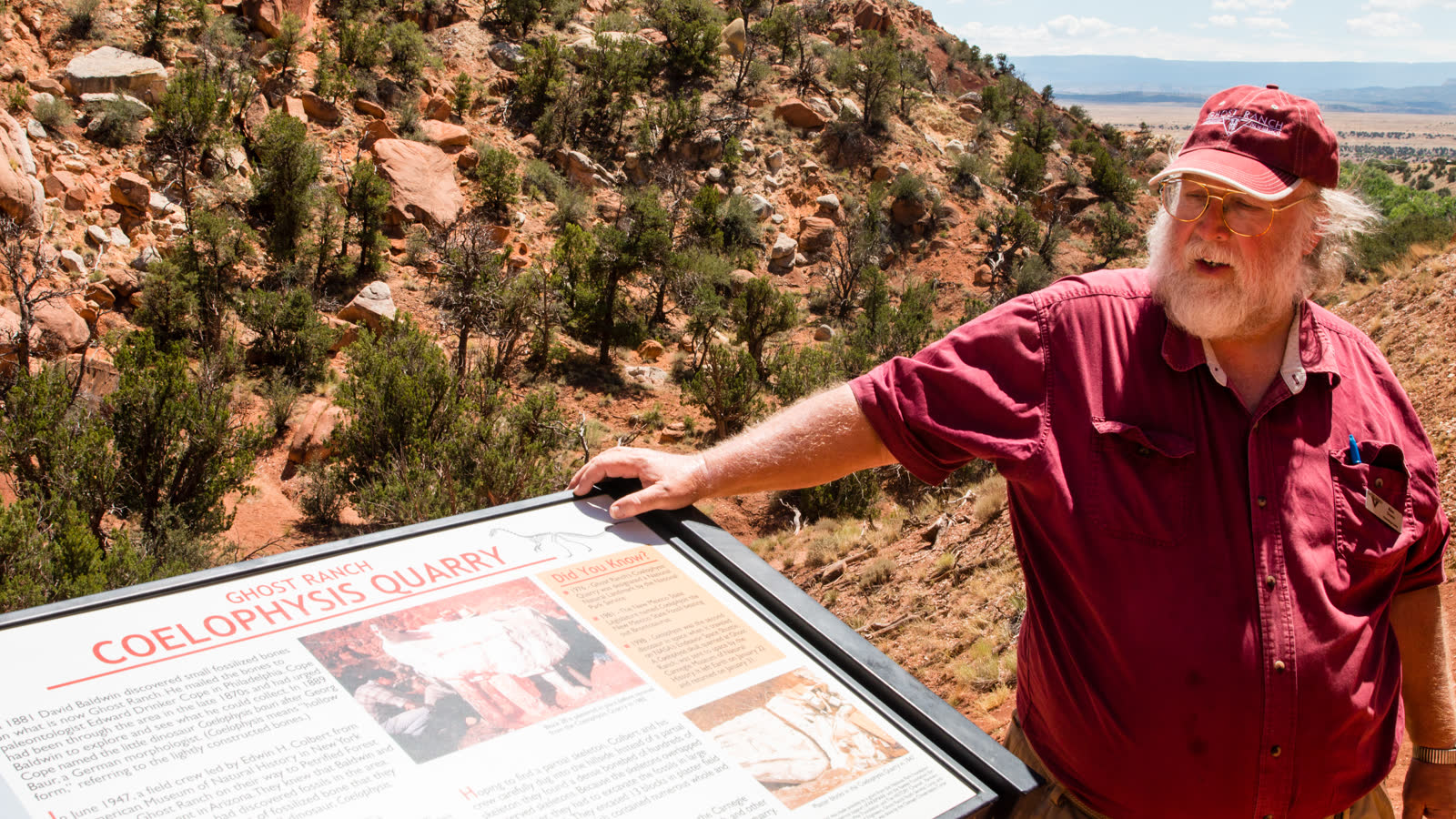Un fosil aplastado y feo termino revelando un dinosaurio que no deberia haber estado ahi