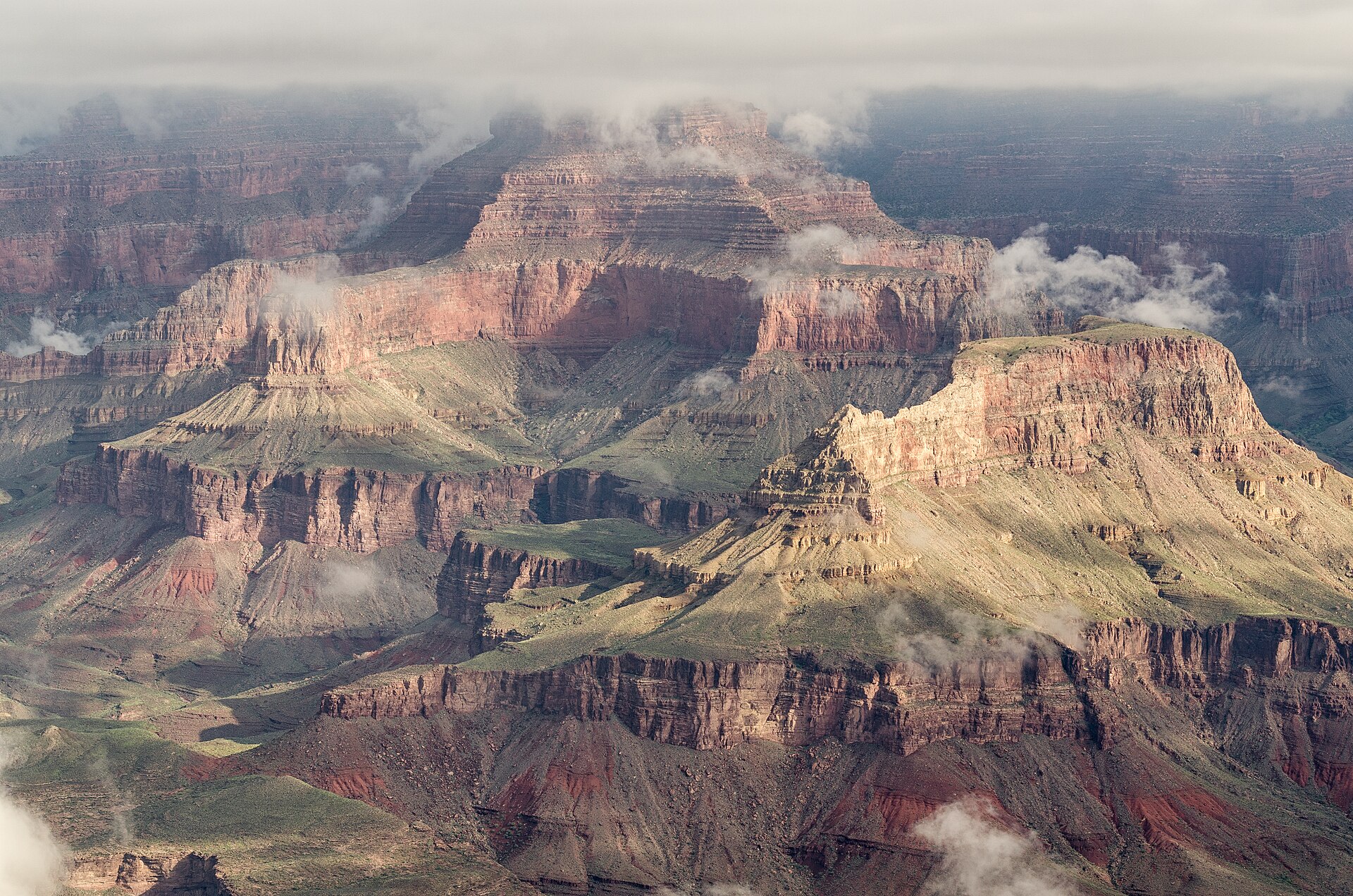 Fosiles de China empujan la vida compleja antes de la explosion cambrica