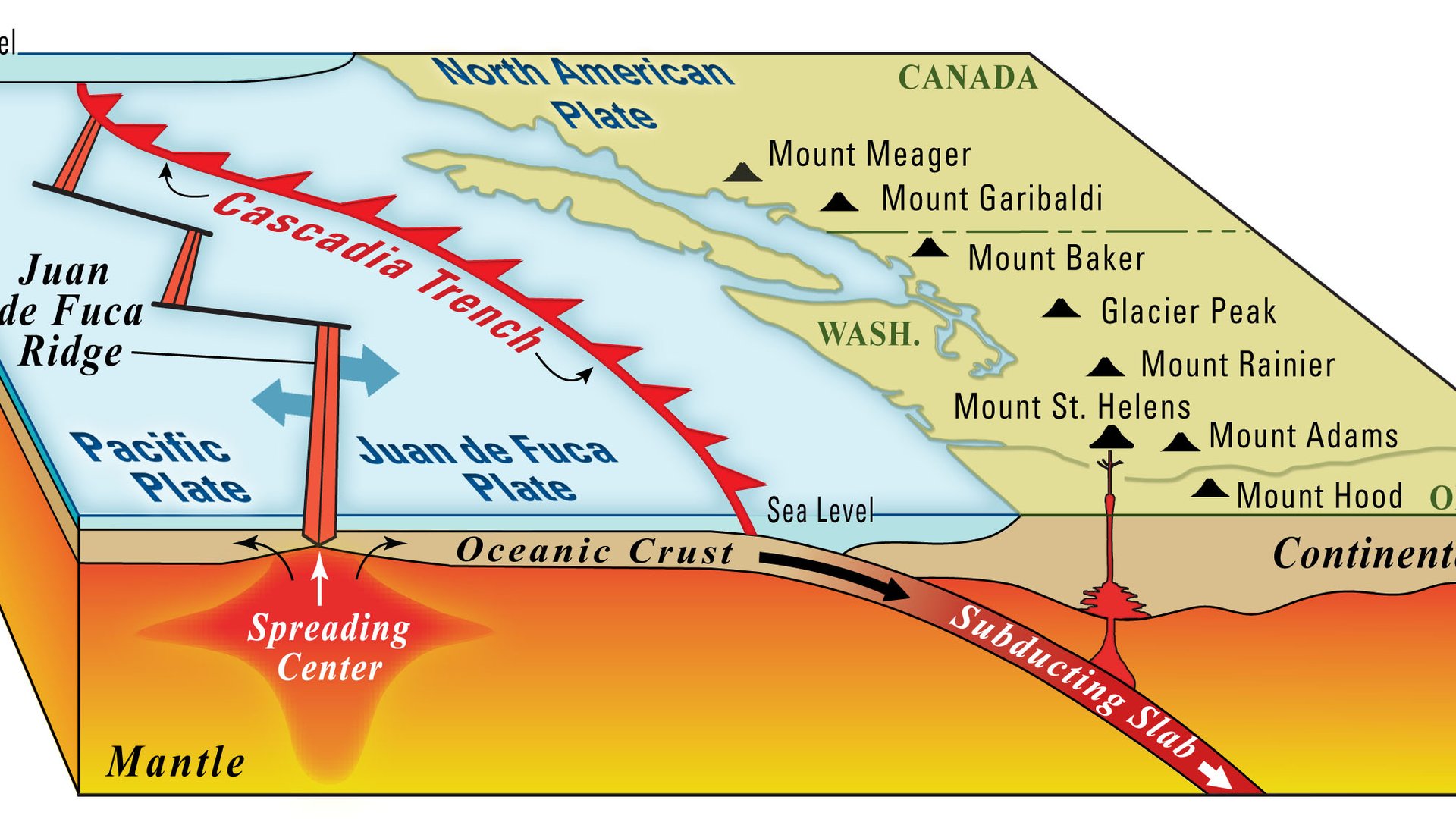 Una placa tectónica se está desgarrando en tiempo real bajo el Pacífico. Es la primera vez que los científicos ven una zona de subducción morir.