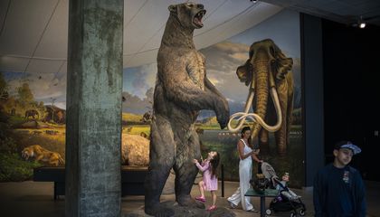 La Brea, el pozo de Los Ángeles donde la muerte hizo uno de los mejores archivos del planeta