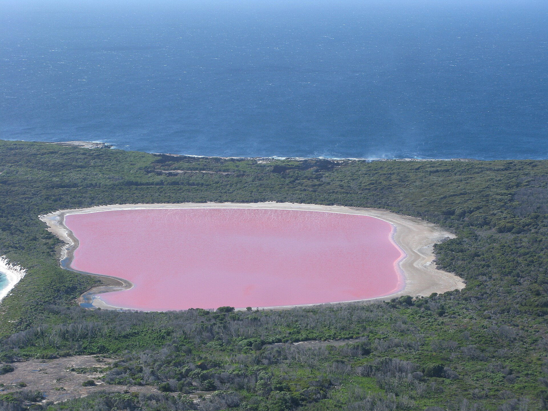 Lago Hillier: el espejo rosa que cambia cuando cambia la sal