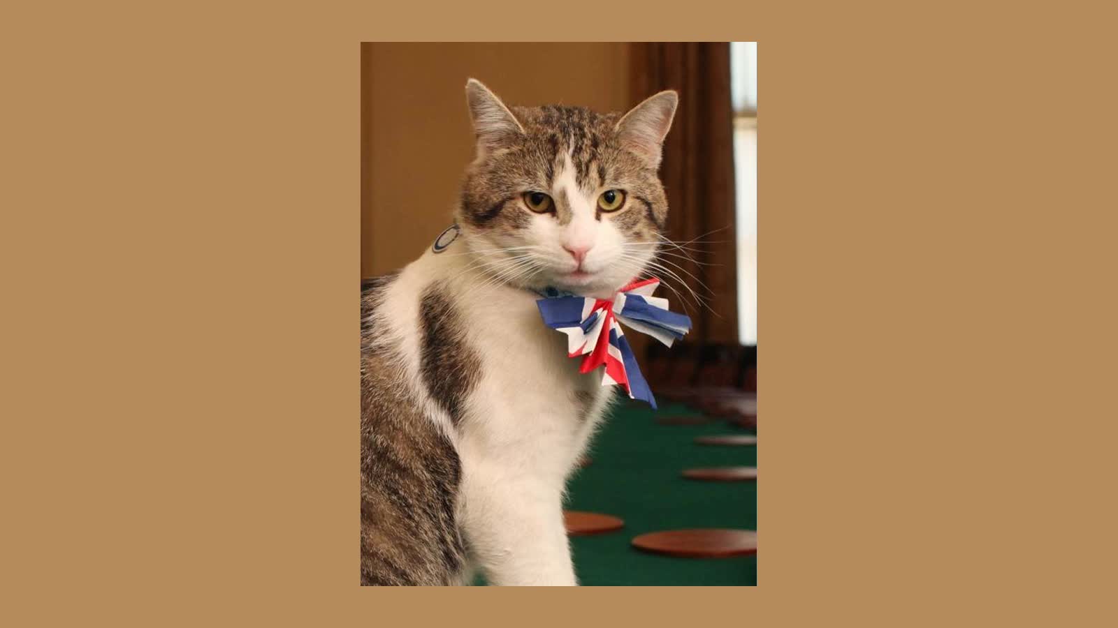 Larry, el gato de Downing Street y jefe cazador de ratones