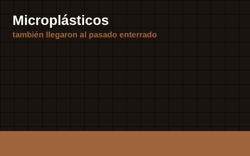 Los microplasticos tambien llegaron al pasado enterrado