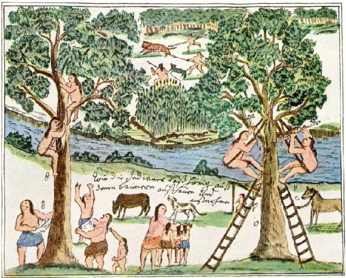 Crearon un paraíso en la tierra: 30 ciudades en la selva, la primera universidad de Argentina en Córdoba y enseñaron a trabajar sin esclavos al compás de la música barroca. Duró 150 años.