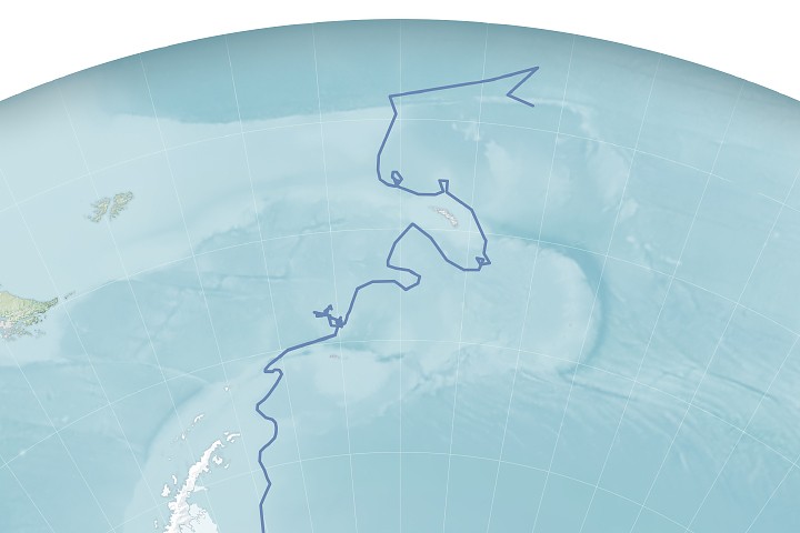 El iceberg A-23A se desarmó después de casi 40 años a la deriva