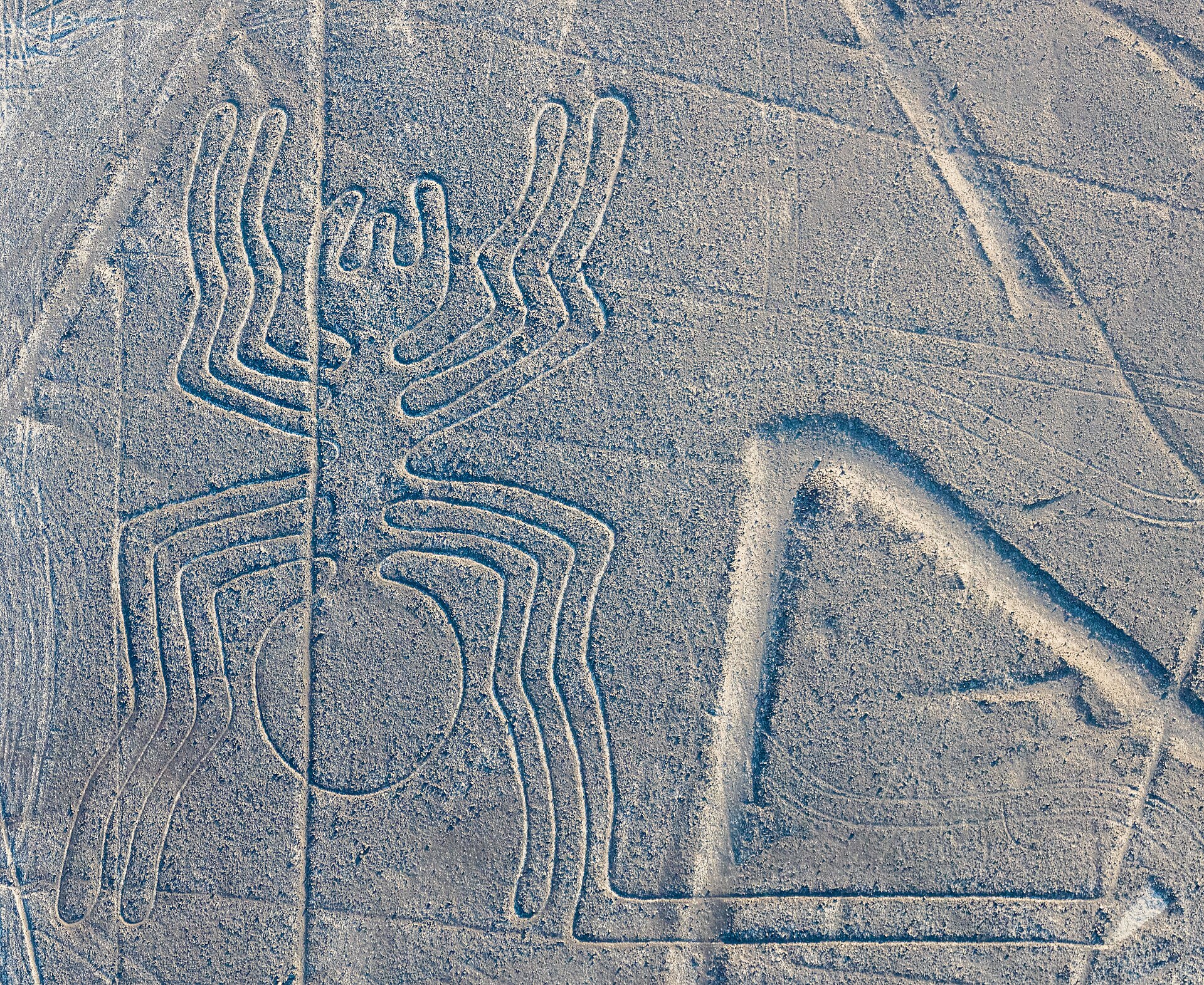 Las líneas de Nazca: dibujos gigantes que solo el desierto pudo conservar