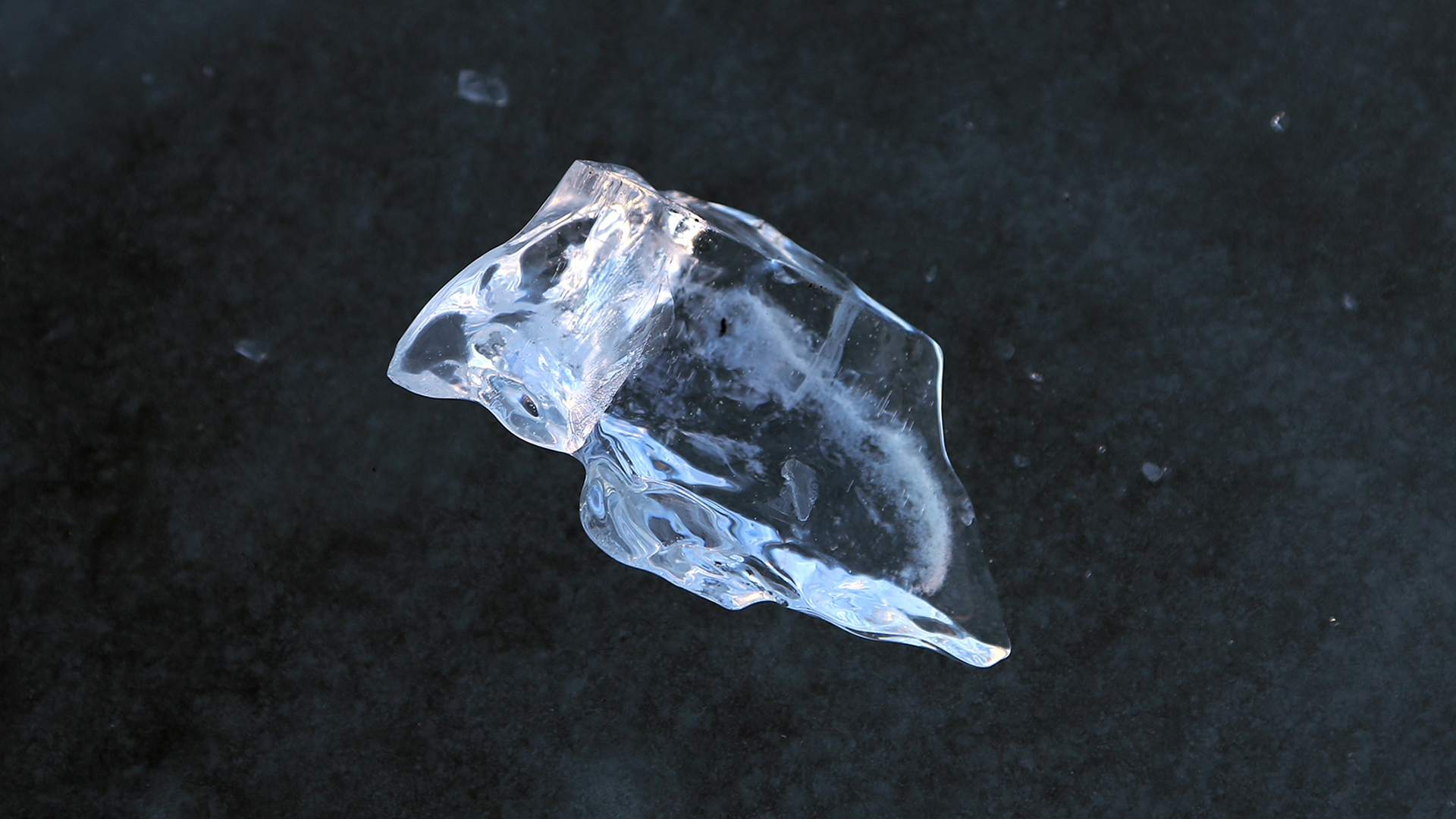 Océano interior: el arte baja al fondo del mar para pensar la crisis climática sin consigna fácil