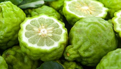 Los olores de la Tierra están cambiando y también se nos va una forma de memoria