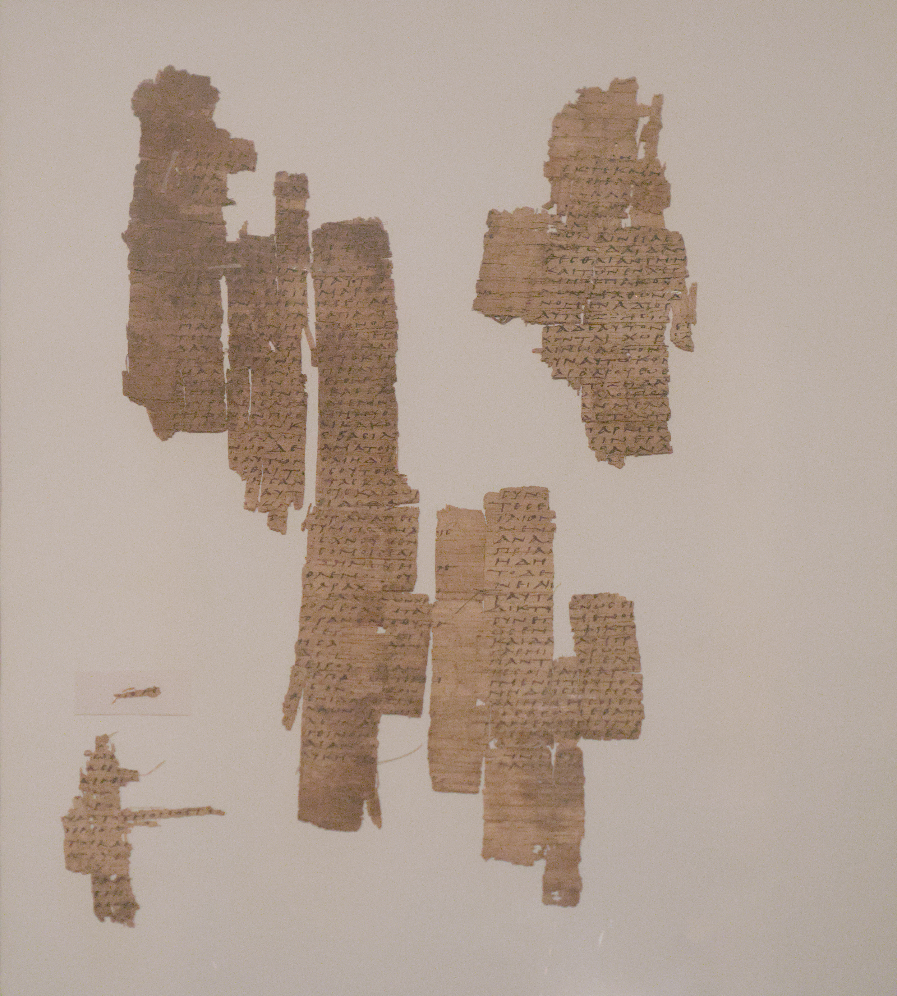 Por qué alguien metió un fragmento de la Ilíada dentro de una momia hace 1.600 años