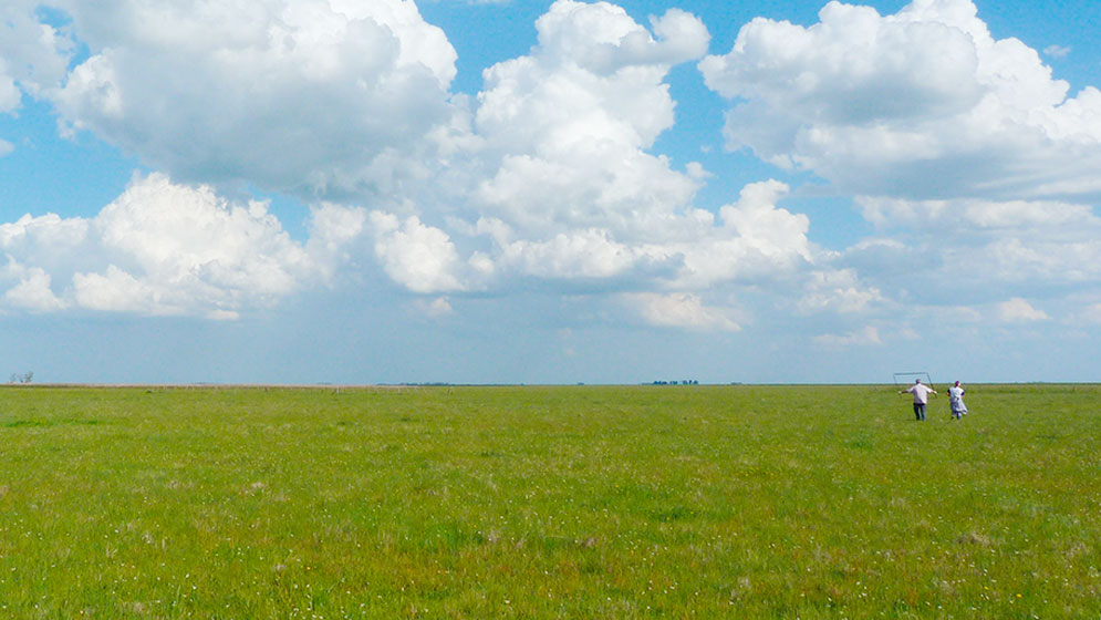 Pastizales: el estudio argentino que niega la falsa pelea entre producir y conservar