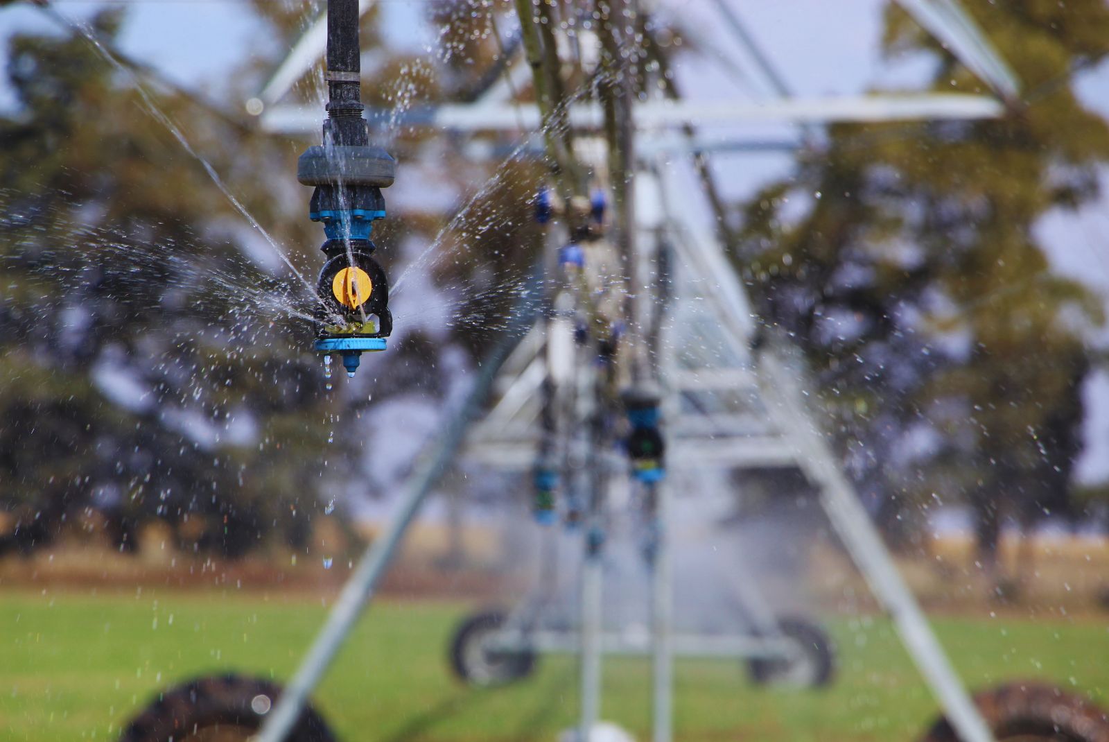 Riego y RIMI: cuánto cuesta dejar de esperar la lluvia como única estrategia