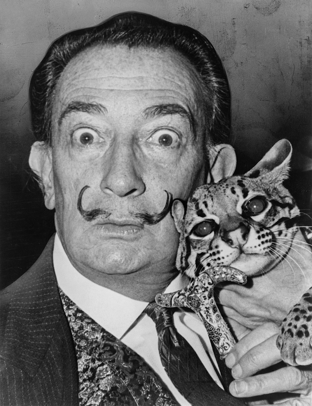 Salvador Dalí y las moscas: la obsesión que nadie menciona