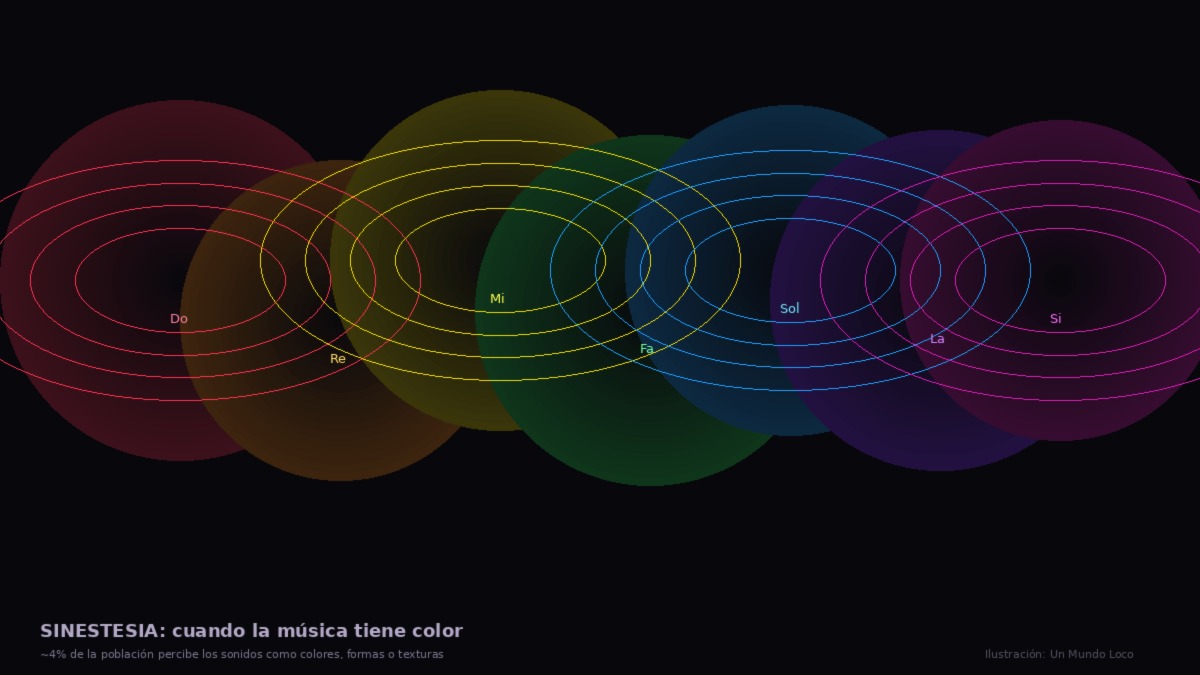 Para el 4% de las personas, la música tiene color. La neurociencia ya sabe por qué.
