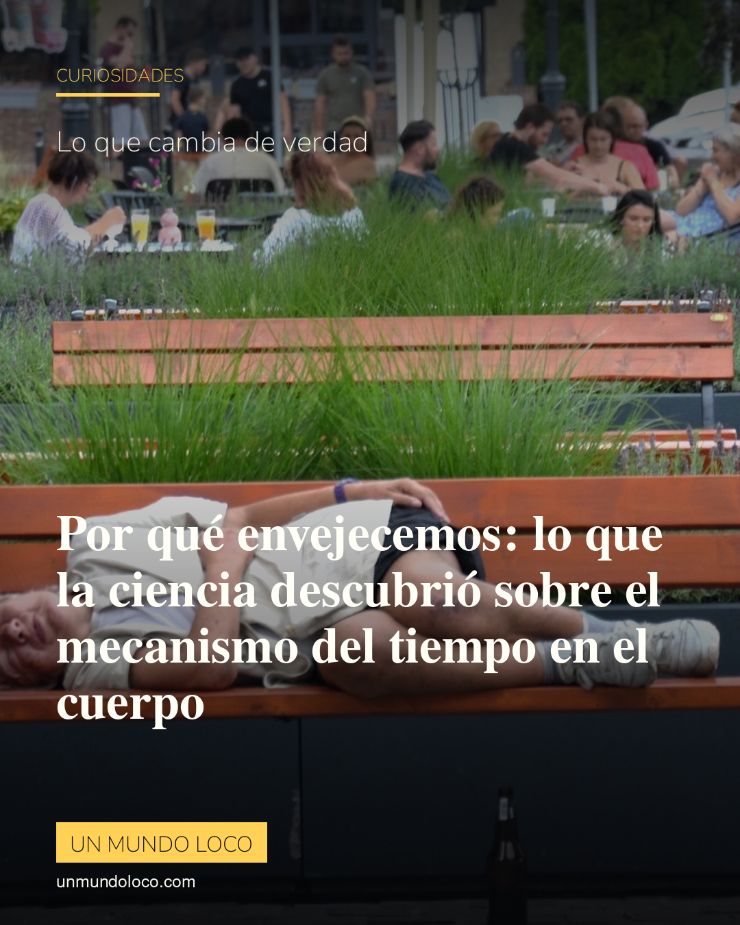 Por qué envejecemos: lo que la ciencia descubrió sobre el mecanismo del tiempo en el cuerpo