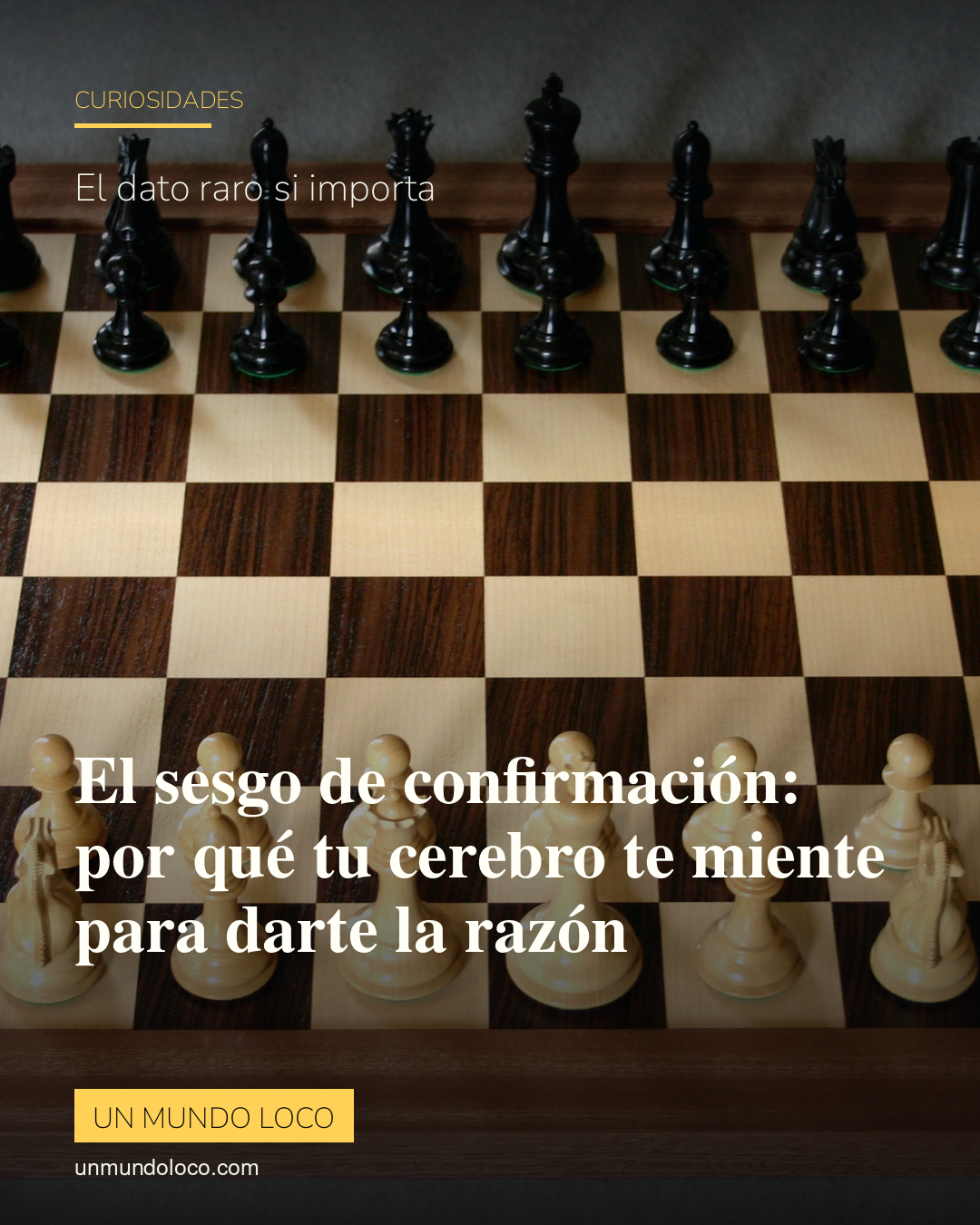 El sesgo de confirmación: por qué tu cerebro te miente para darte la razón