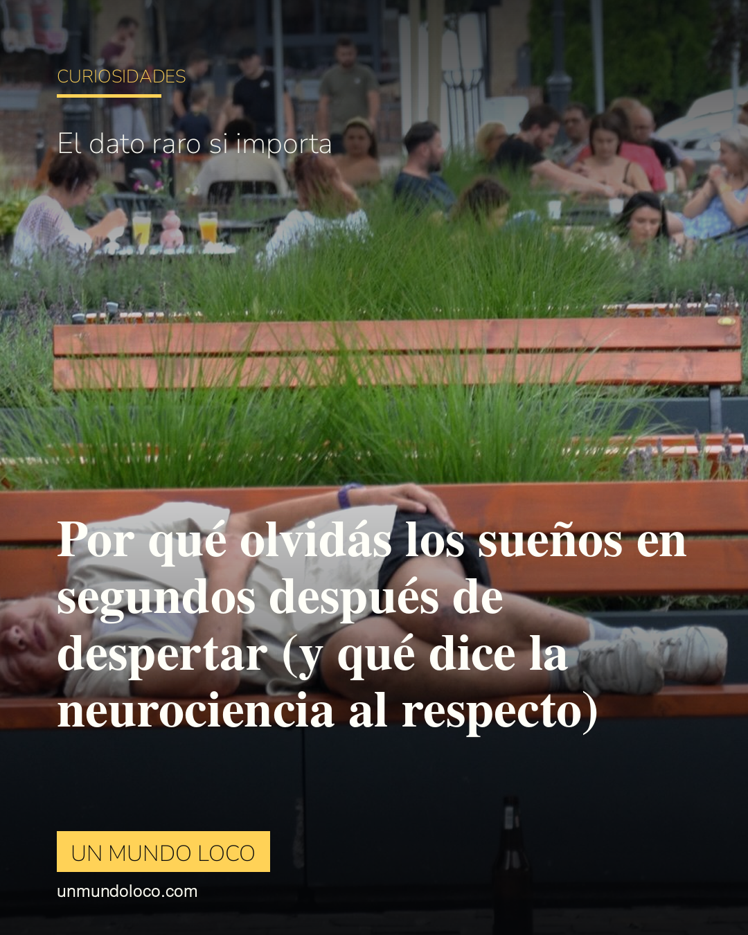 Por qué olvidás los sueños en segundos después de despertar (y qué dice la neurociencia al respecto)
