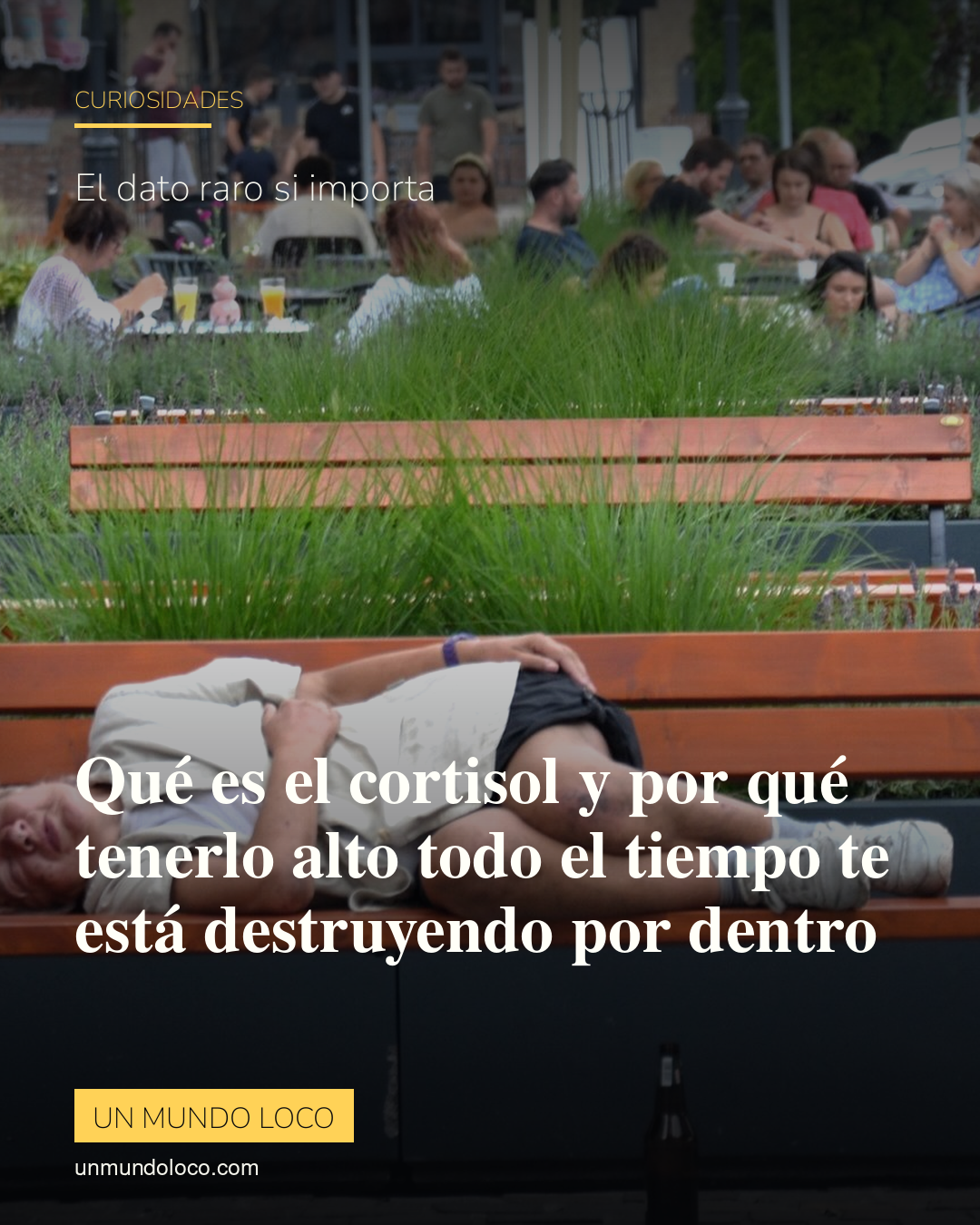 Qué es el cortisol y por qué tenerlo alto todo el tiempo te está destruyendo por dentro