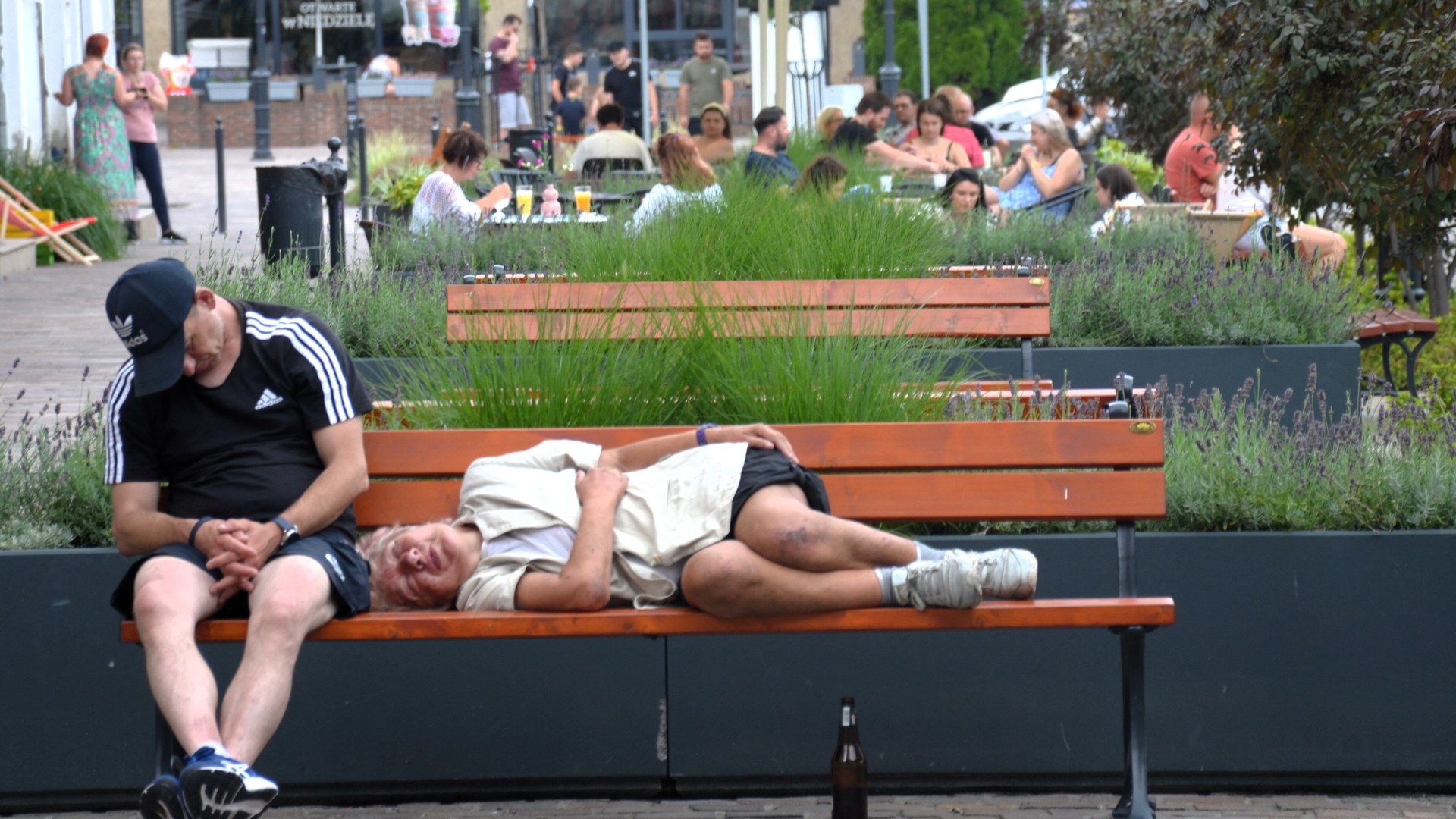 Tus sueños no son aleatorios. Los neurocientíficos analizaron 3.700 relatos con IA y encontraron el patrón que los ordena.