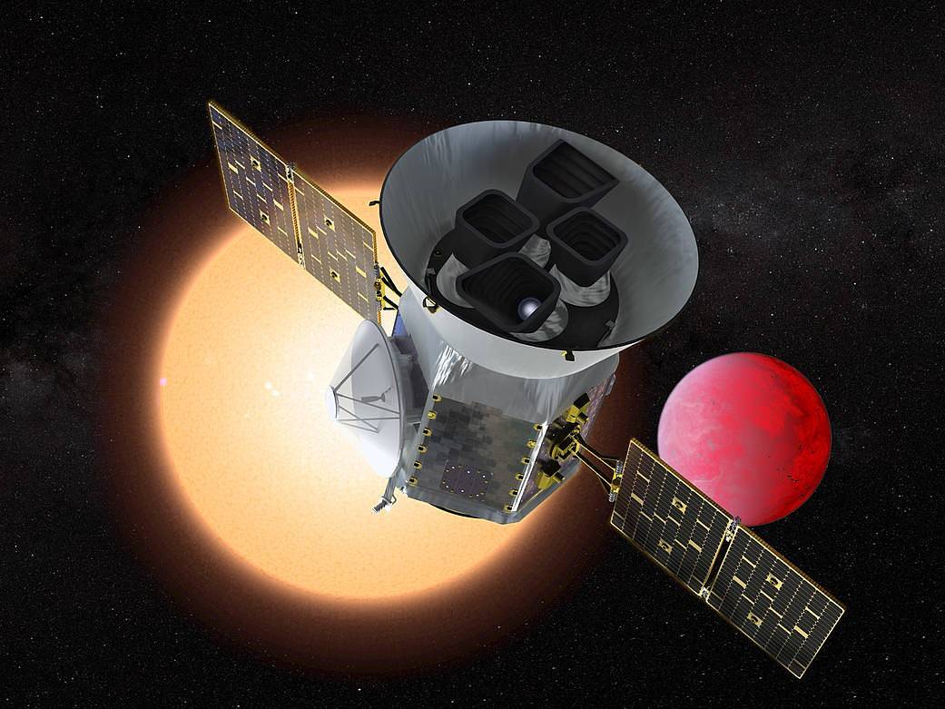 La NASA está armando un internet de animales para leer la Tierra desde cuerpos vivos