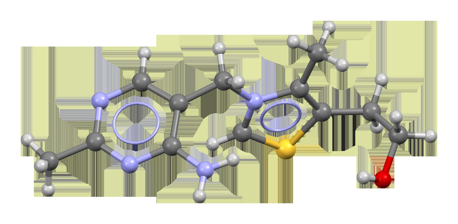 Una teoria de vitamina B1 que parecia una locura acaba de ganar despues de 67 anos