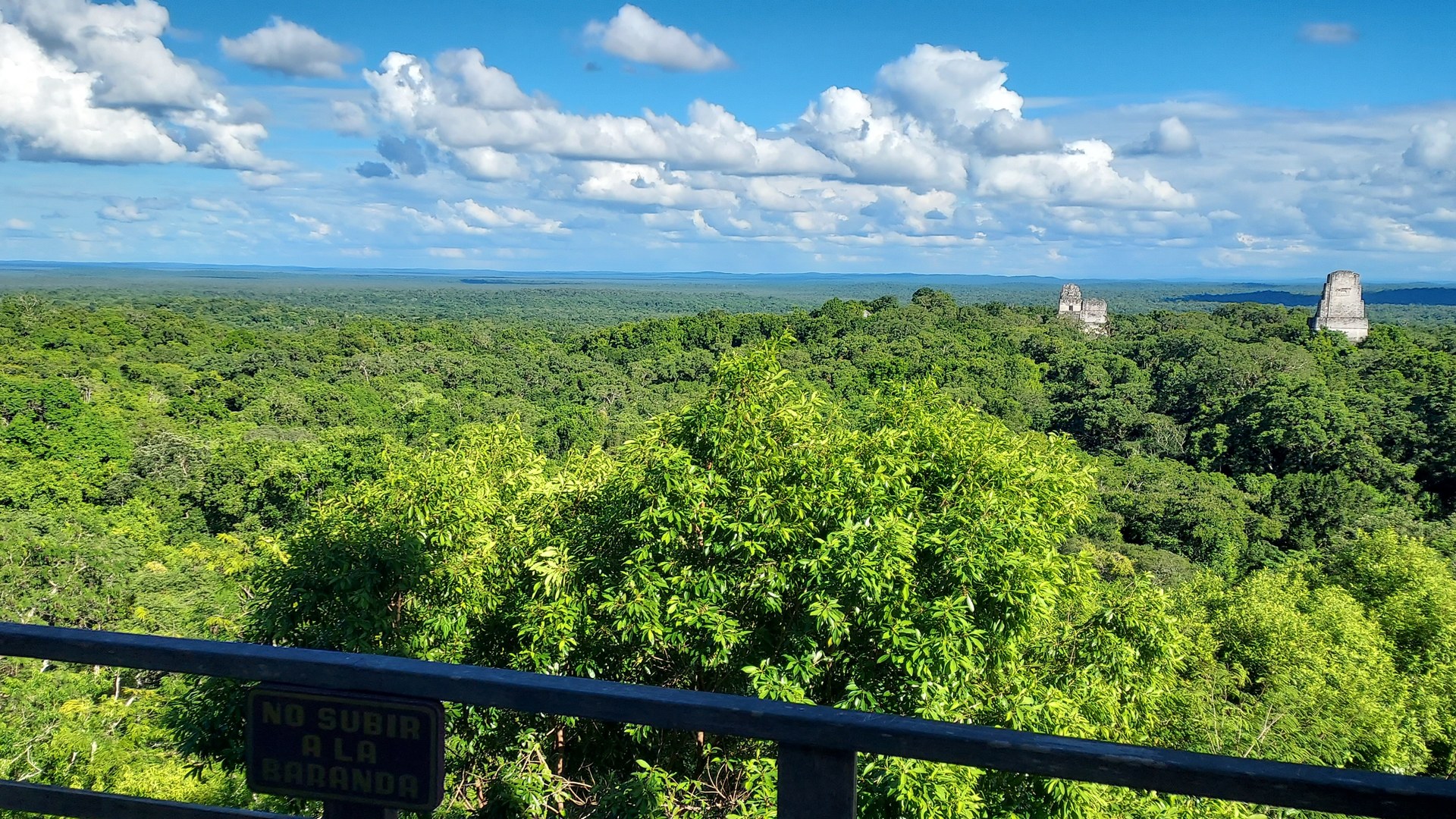 Llovió, los cultivos crecieron, y los mayas igual se fueron. El hallazgo que complica la explicación más aceptada sobre el colapso de su civilización.