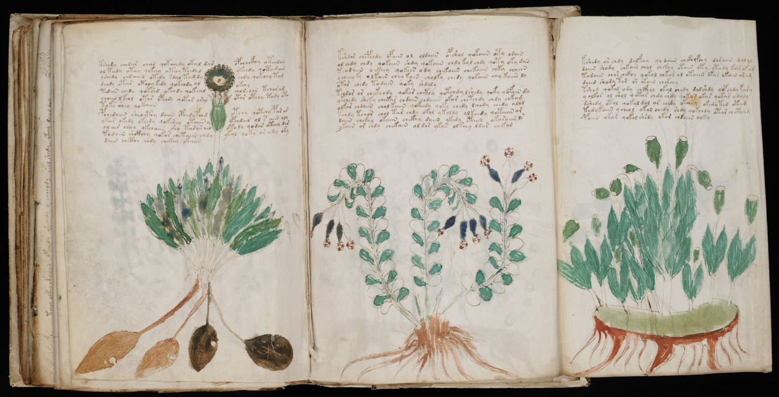El manuscrito Voynich: el libro que parece explicar algo y nadie logra leer