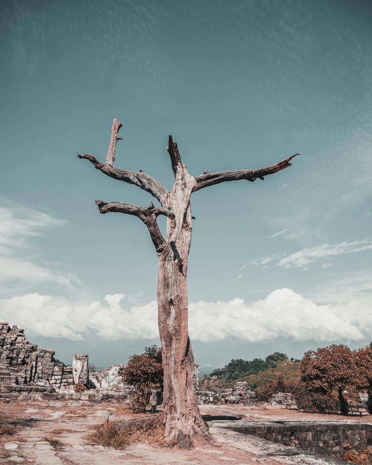 Yakarta se hunde 25 centímetros por año. Indonesia construyó una capital nueva para escapar